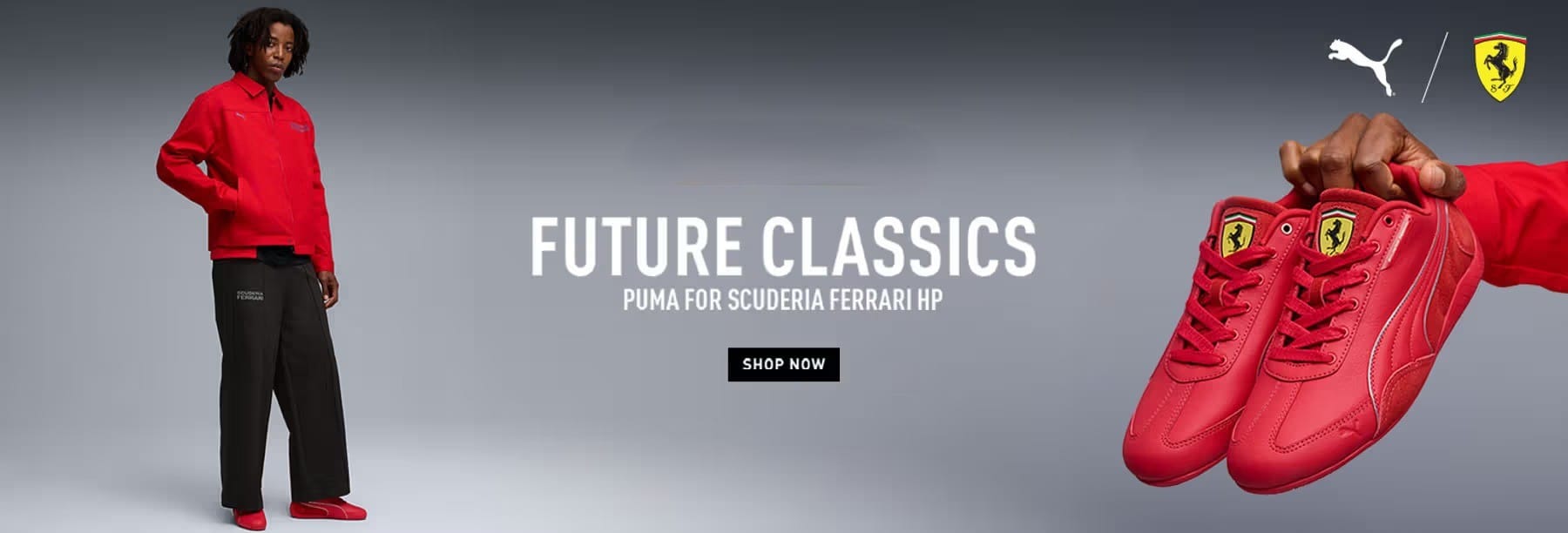 imgi_17_05e1ee8d-e08c-472d-b883-f80504ef0d0b